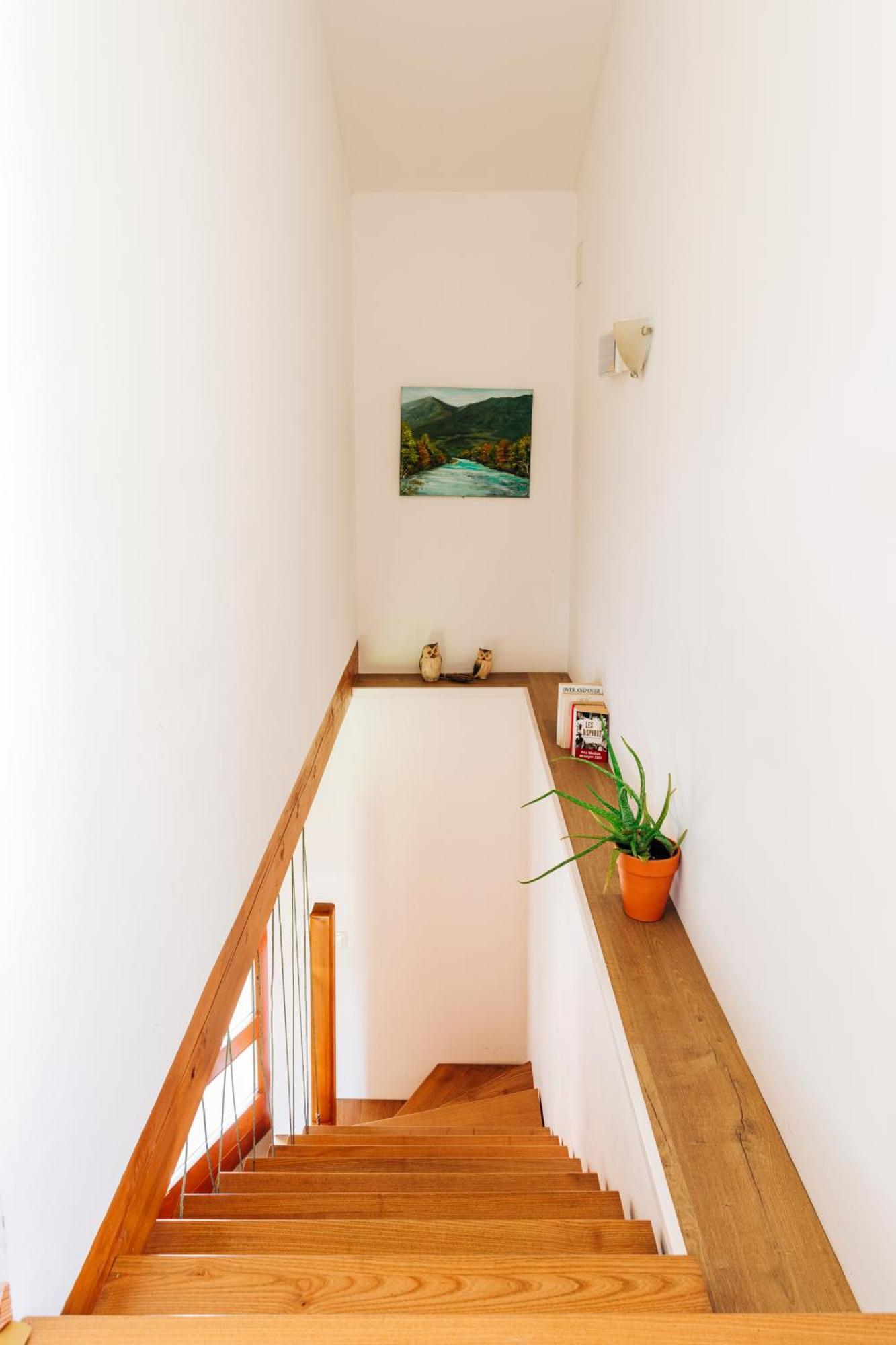 טולמין Apartment House Blazar מראה חיצוני תמונה