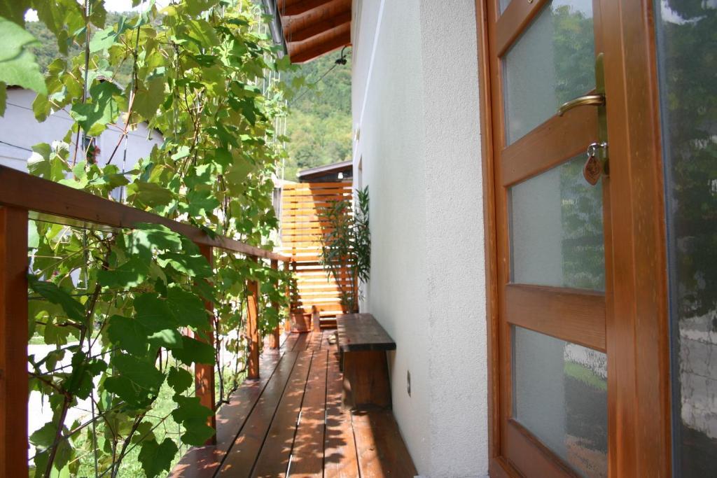 טולמין Apartment House Blazar חדר תמונה